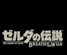 ゼルダの伝説　ブレス　オブ　ザ　ワイルド TIPS